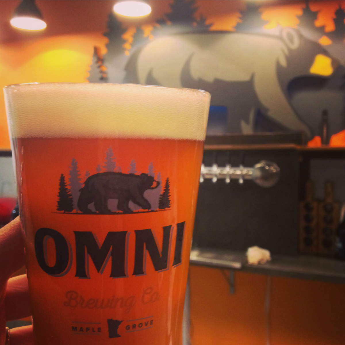 Omni Brewing Pint